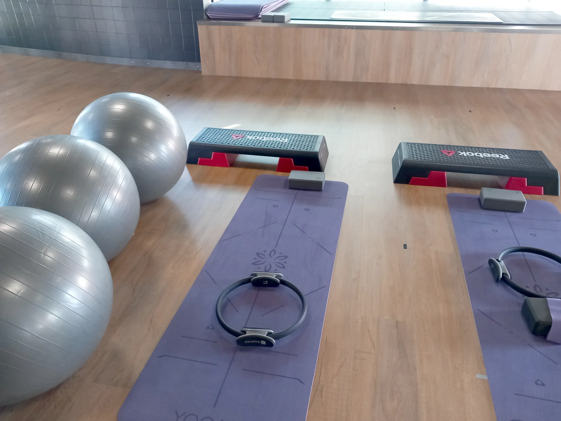 Osteoenergy, Évora: estudio gravidas